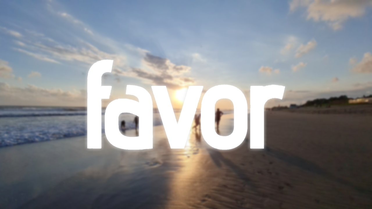 Cover Favor.jpg