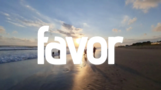 Berkas:Cover Favor.webp