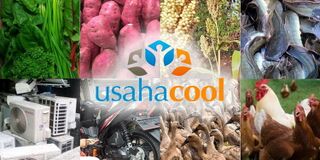 Berkas:Logo usahacool.jpg