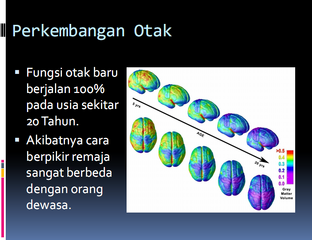 Berkas:Otak 1.png